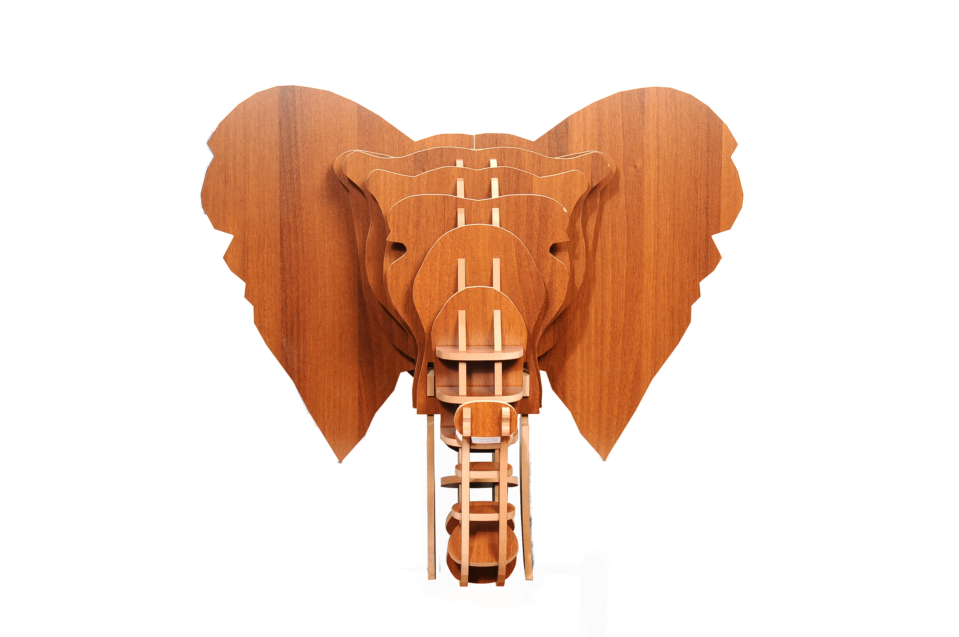 Geometric 3D Wooden Elephant Map Art