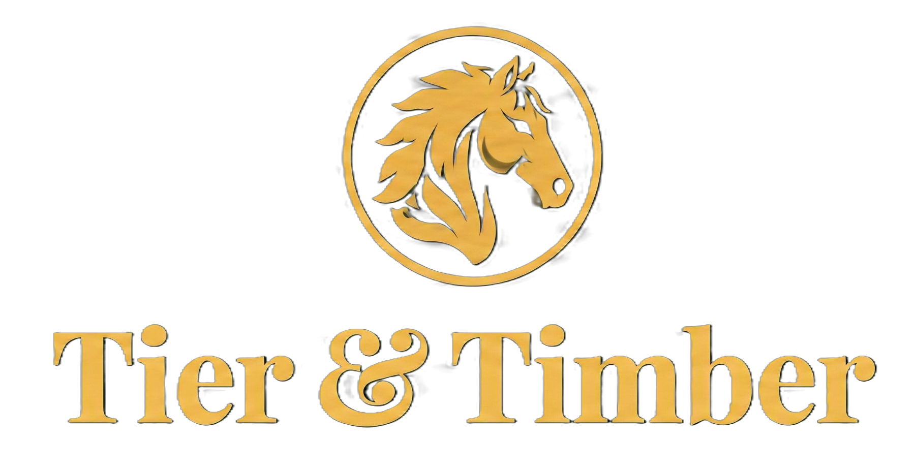 Tier & Timber 3D Wooden Wall Art Logo